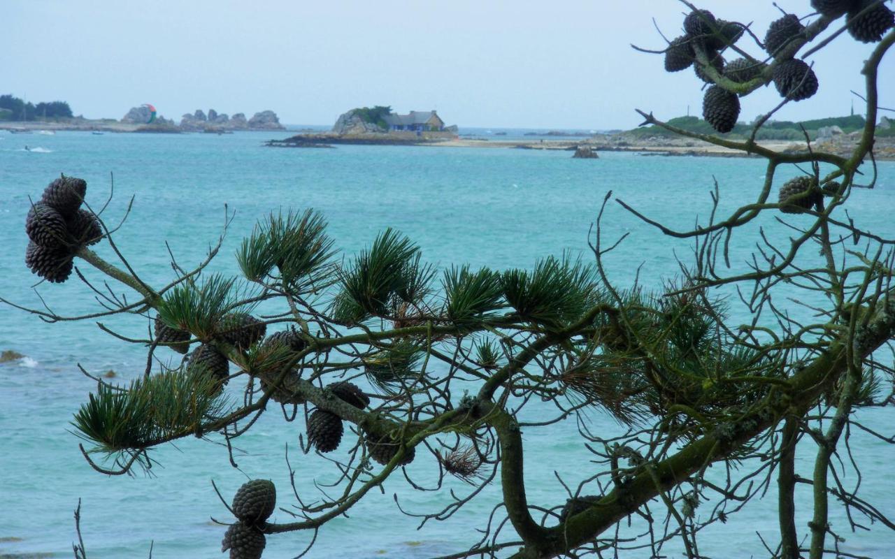 Les Ajoncs Bed and Breakfast Plougrescant Εξωτερικό φωτογραφία